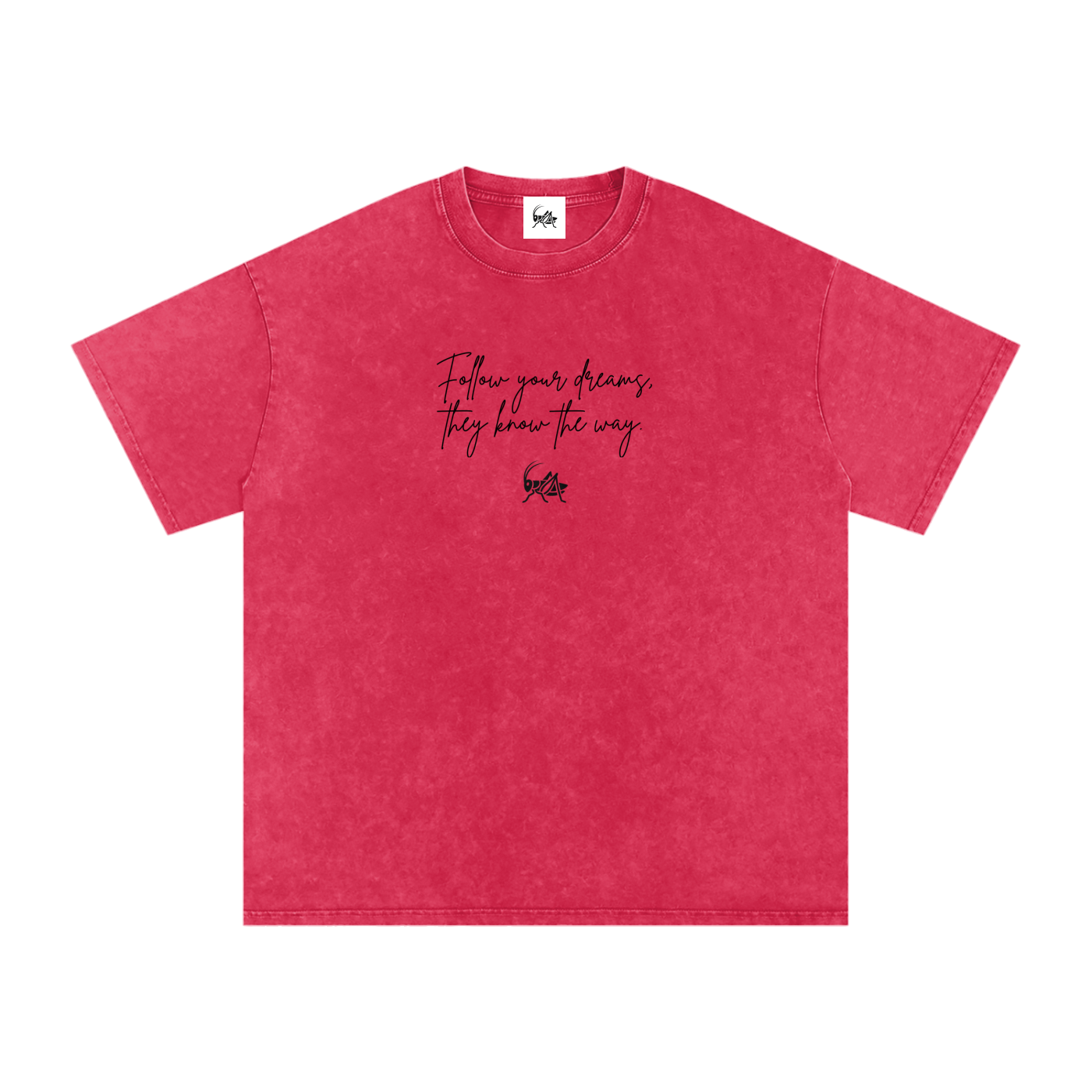 Adrienn "Follow your dreams they know the way" Oversized T-Shirt