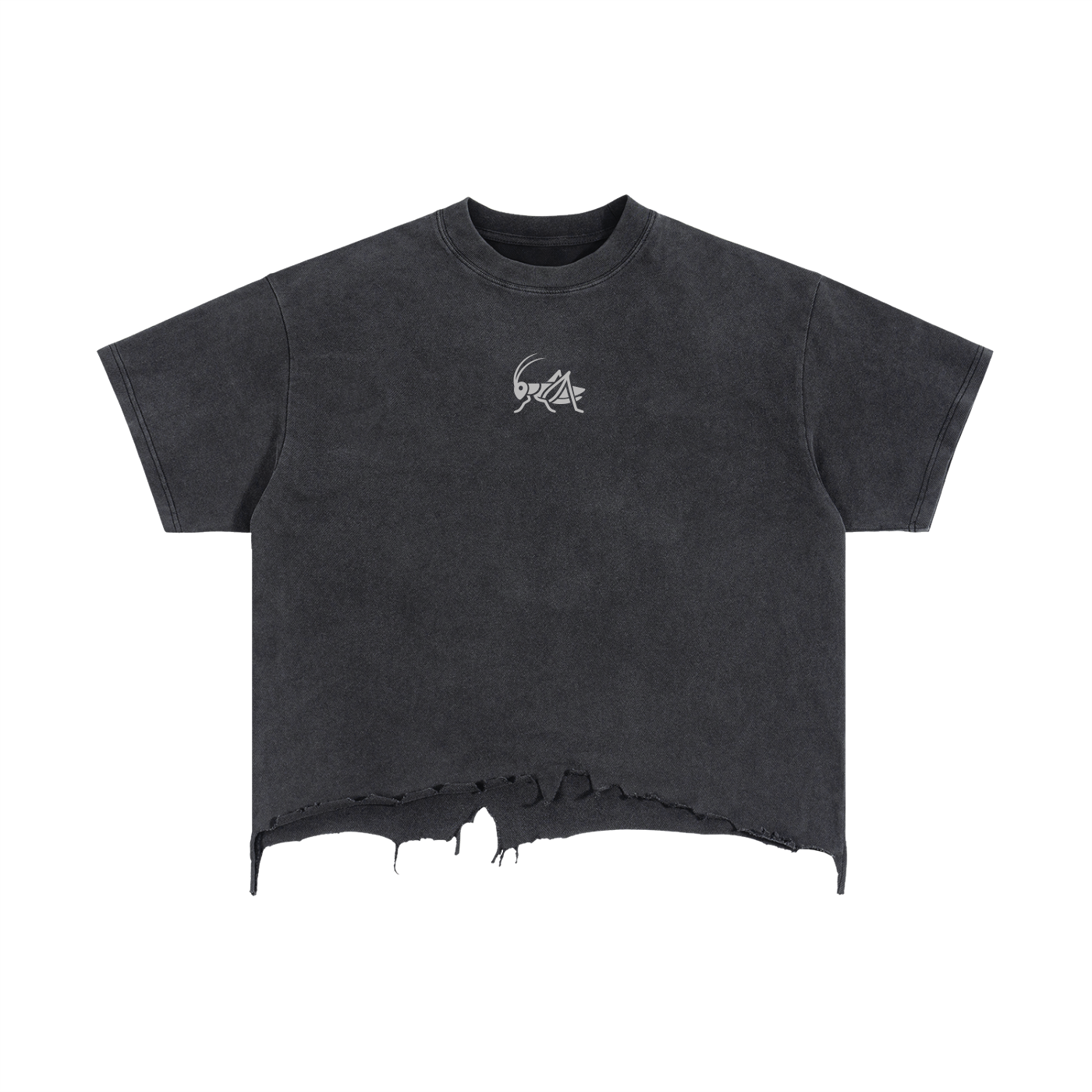 Adrienn Vintage Wash Boxy Distressed T-Shirt