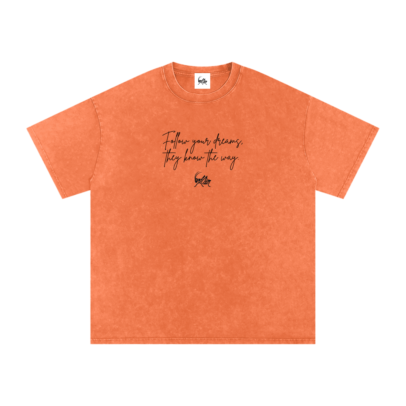 Adrienn "Follow your dreams they know the way" Oversized T-Shirt