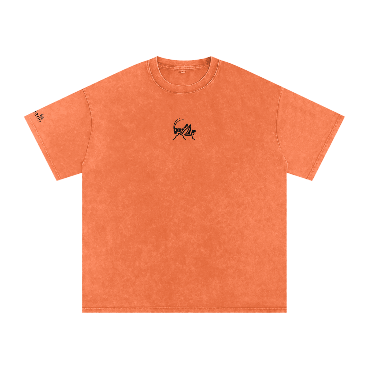 Adrienn Oversized T-Shirt