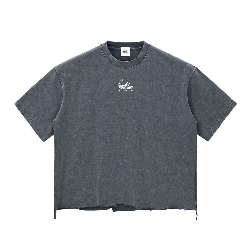 Adrienn Snow Wash Raw-Hem Boxy T-shirt